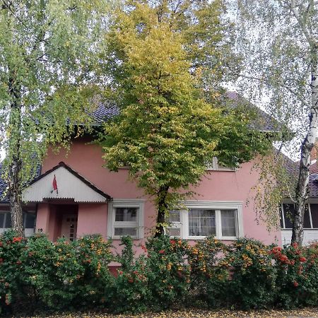 Balogh vendeghaz Hotel Szeged Buitenkant foto