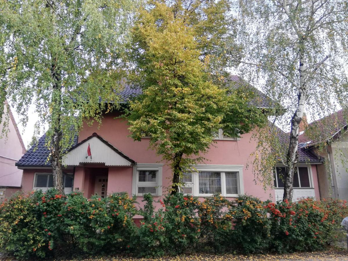 Balogh vendeghaz Hotel Szeged Buitenkant foto